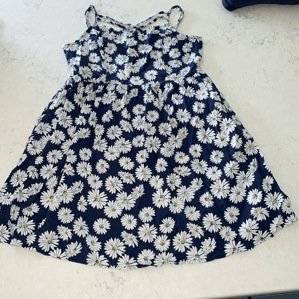 Blue Daisy Dress